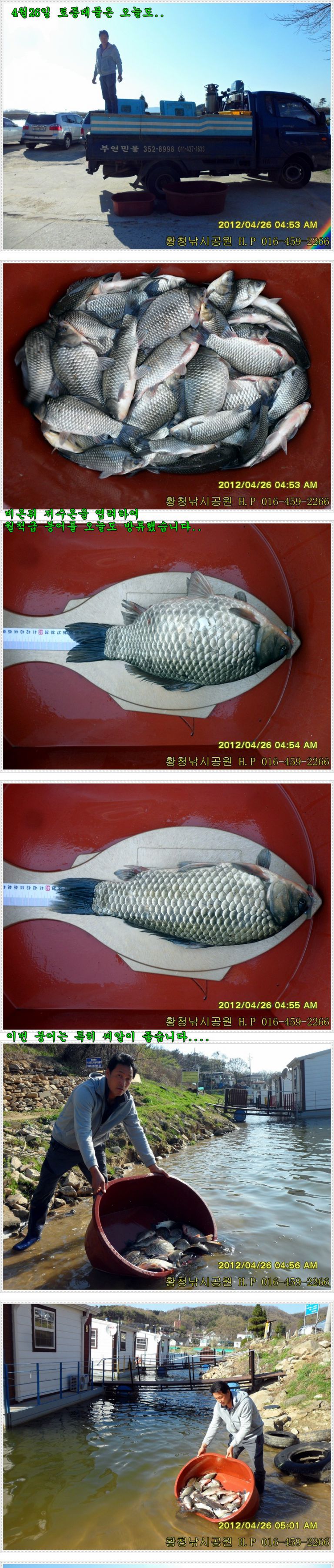 토종대물 대량방류 했습니다.