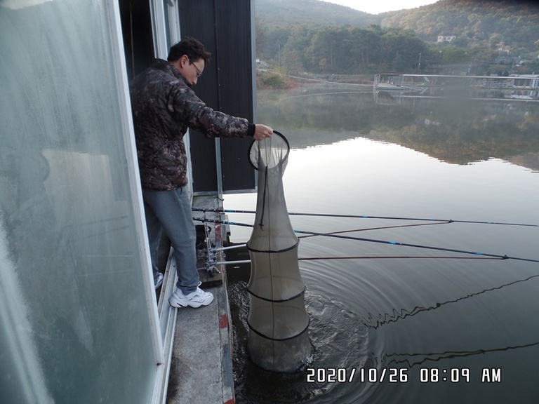 10월27일 조황체크