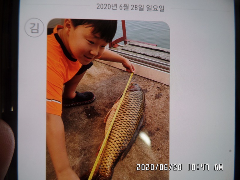 6월28일 조황체크