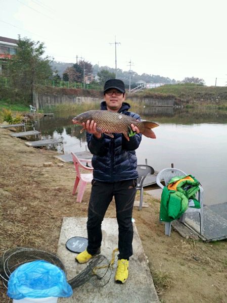 [강화도 황청낚시터] 붕어,잉어,향어,낱마리조황/ 11월2일