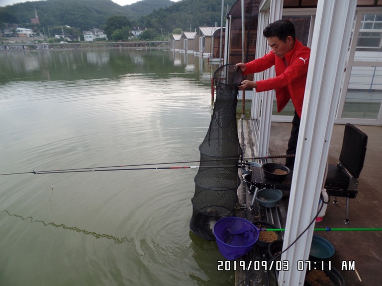 9월3일 조황체크