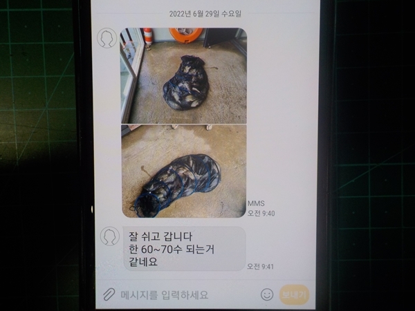 6월29일 조황체크