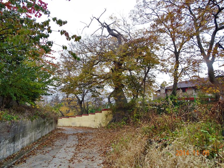 [강화 황청낚시터] 11월6일 조황체크