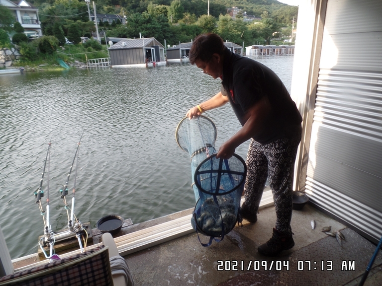 9월6일 조황체크