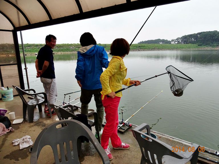 [강화 황청낚시터] 8월 6일 조황체크