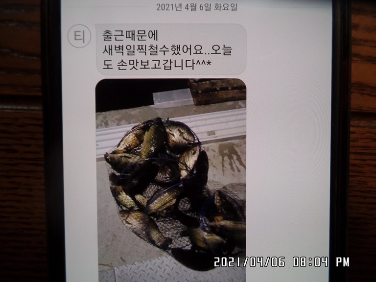 4월8일 조황체크