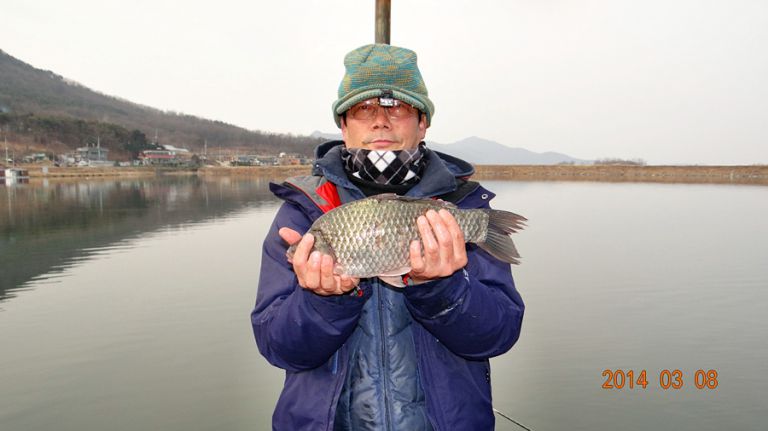 [강화도 황청낚시터] 불규칙한 조황~/ 3월8일-9일