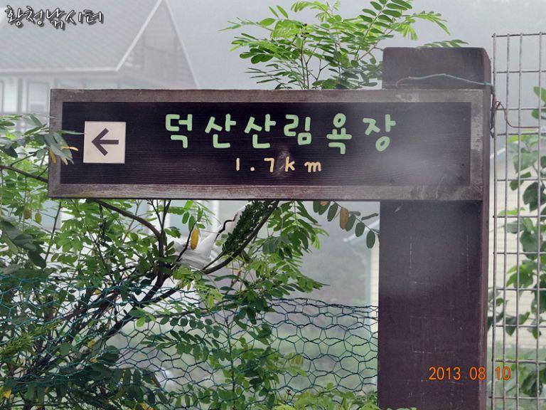 [강화도 황청낚시터] 덕산 산림욕장/8월10일
