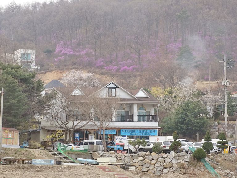 4월12일 조황체크