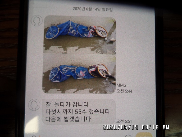 6월14일 조황체크