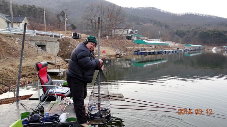 [강화도 황청낚시터] 물 돼지가 움직입니다./3월12