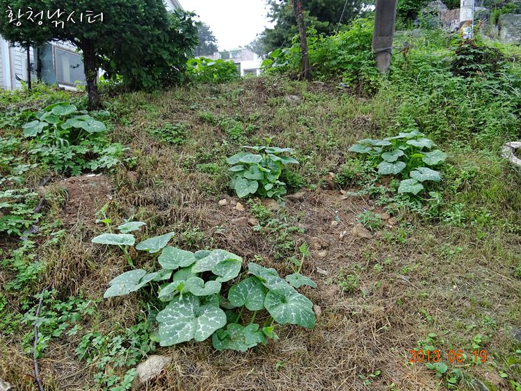 [황청낚시터] 집어시기 중요합니다.^^