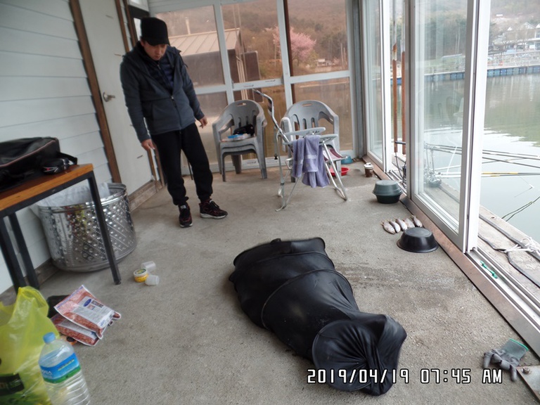 4월19일 조황체크