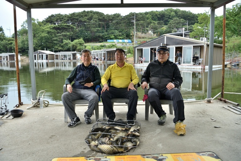 6월7일 조황체