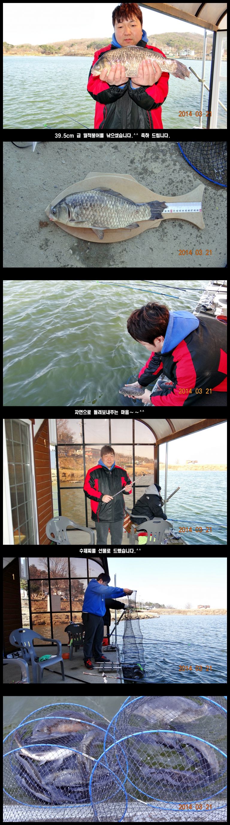 39.5cm급 월척붕어~~
