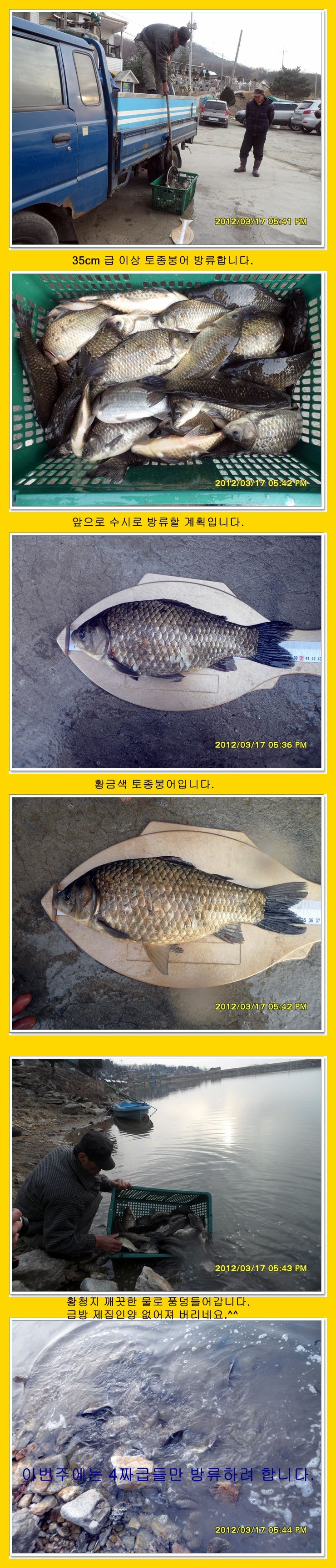 토종화 프로젝트