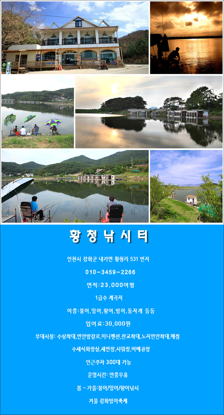 8월23일 조황체크